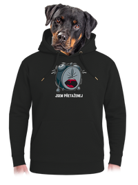 unisex mikina premium