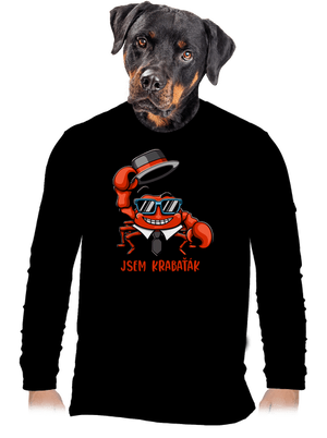 pánské dlouhý rukáv