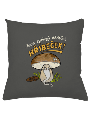 Babka a hříbeček polštář Gray Pol