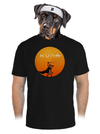 pánské sportovní tričko