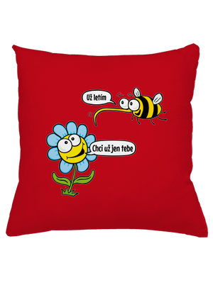 Chci už jen tebe polštář Red