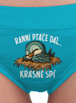Ranní ptáče spí dámské kalhotky Turquoise