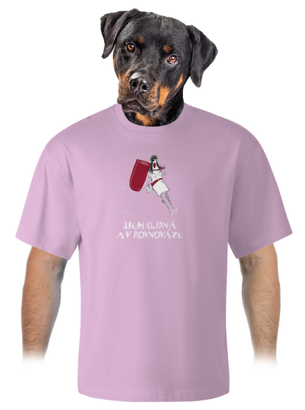 Klidná rovnováha unisex tričko oversized Orchid