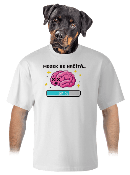 Mozek se načítá unisex tričko oversized White