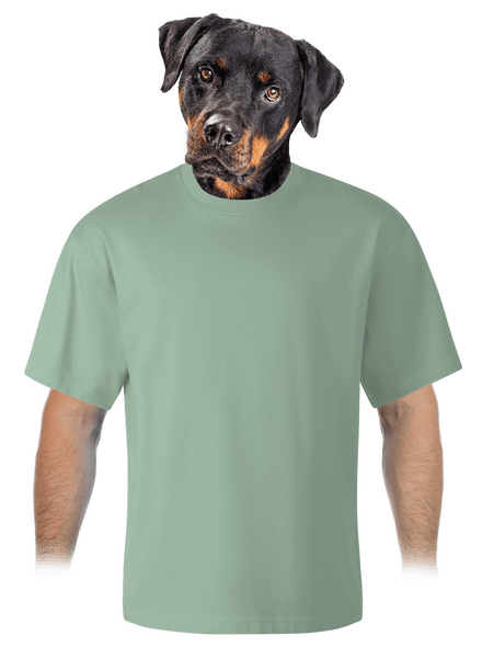 Bez potisku unisex tričko oversized Sage