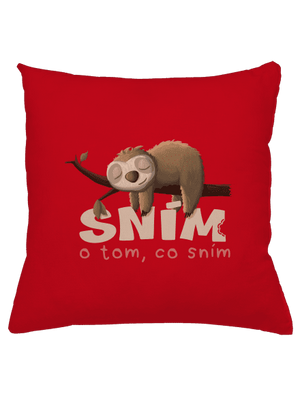 Sním o tom, co sním polštář Red