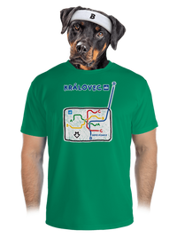 pánské sportovní tričko