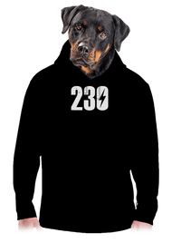 pánská mikina klokanka