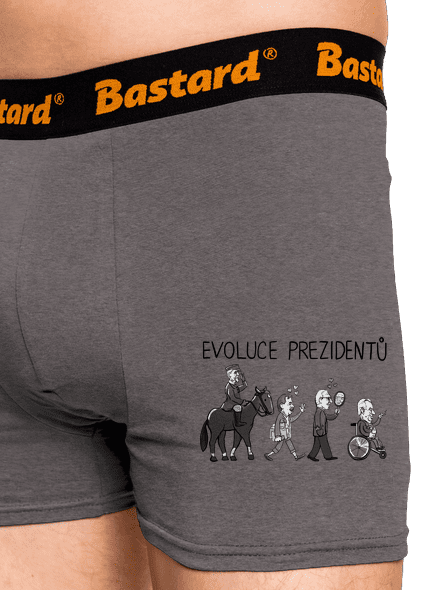 Evoluce prezidentů boxerky Gray Melange