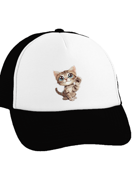 Tlapku na to kšiltovka truckerka Black cap