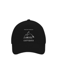 kšiltovka baseballka