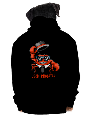 pánská mikina na zip