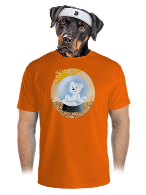 pánské sportovní tričko