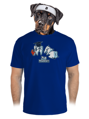 pánské sportovní tričko