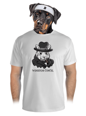 pánské sportovní tričko