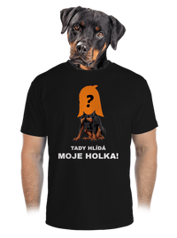 pánské sportovní tričko