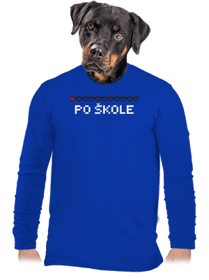 pánské dlouhý rukáv