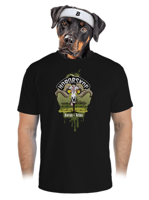 pánské sportovní tričko