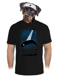 pánské sportovní tričko