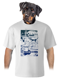 unisex tričko oversized