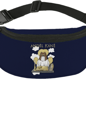 Anděl Káně ledvinka French Navy