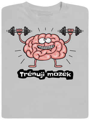 Trénuji mozek pánské tričko Pacific Grey