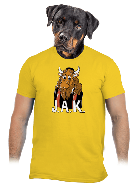 Jak pánské tričko Gold