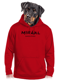 pánská mikina klokanka