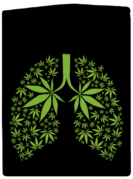 Ganja plíce dámská mikina na zip Black