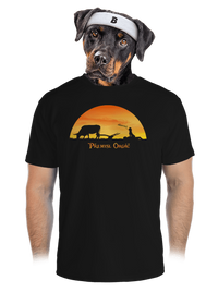 pánské sportovní tričko