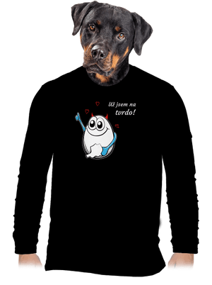 pánské dlouhý rukáv