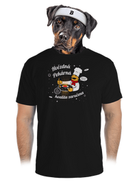 pánské sportovní tričko