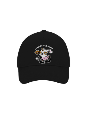 kšiltovka baseballka