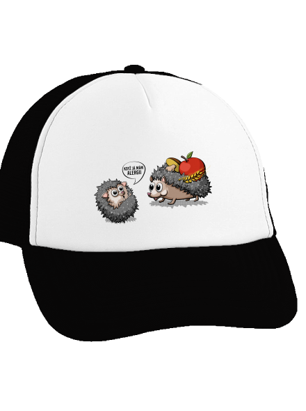 Alergický ježek kšiltovka truckerka Black cap