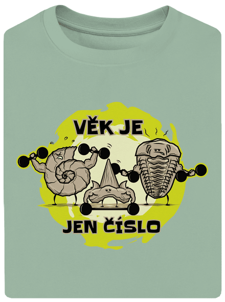 Věk je jen číslo unisex tričko oversized Sage