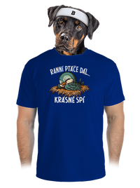 pánské sportovní tričko