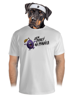 pánské sportovní tričko