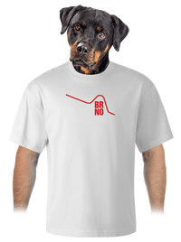 unisex tričko oversized