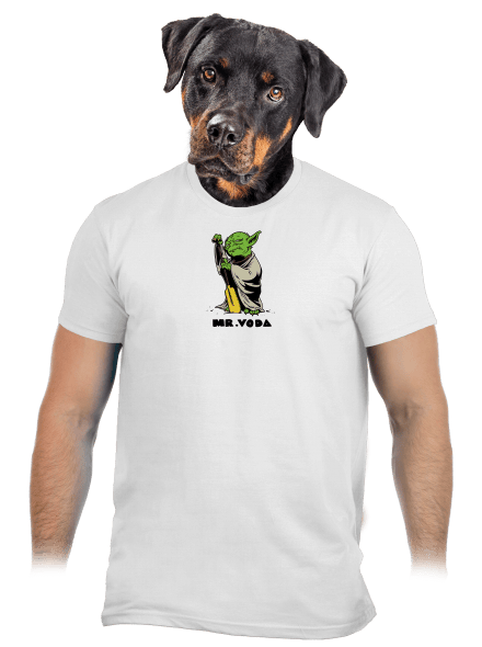 Mr. Voda pánské tričko White