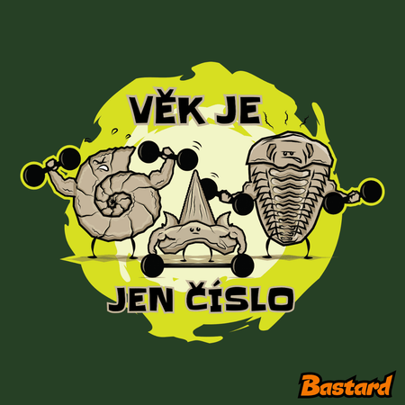 Věk je jen číslo