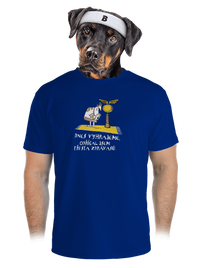 pánské sportovní tričko