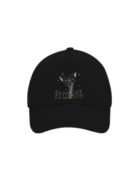 kšiltovka baseballka