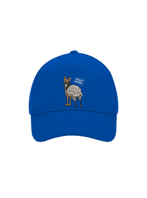 kšiltovka baseballka