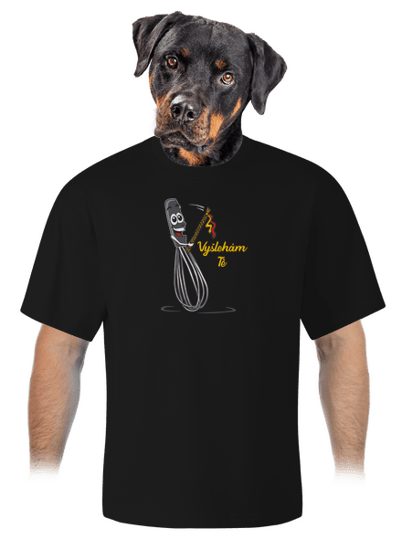 Vyšlehám Tě! unisex tričko oversized Black