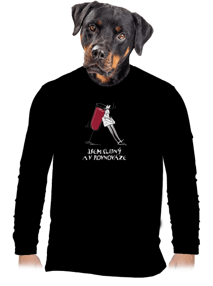 Klidná rovnováha pánské dlouhý rukáv Black