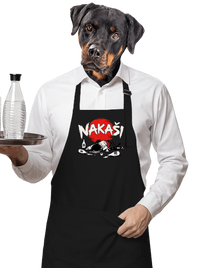 zástěra