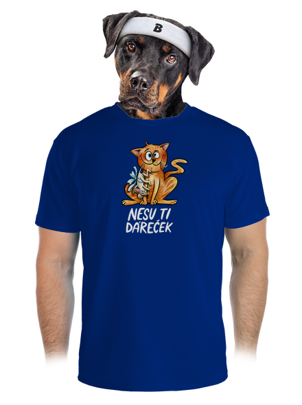 Nesu ti dáreček  pánské sportovní tričko Royal Blue Mal