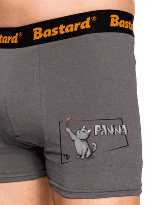 Kočičí horoskop: Panna boxerky Gray Melange