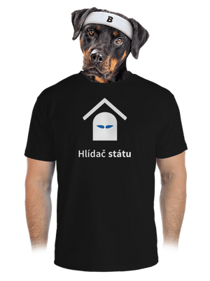 pánské sportovní tričko