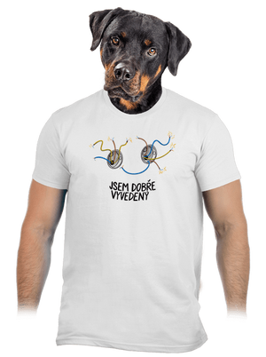 Jsem dobře vyvedený pánské tričko White